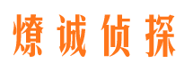 武山市场调查